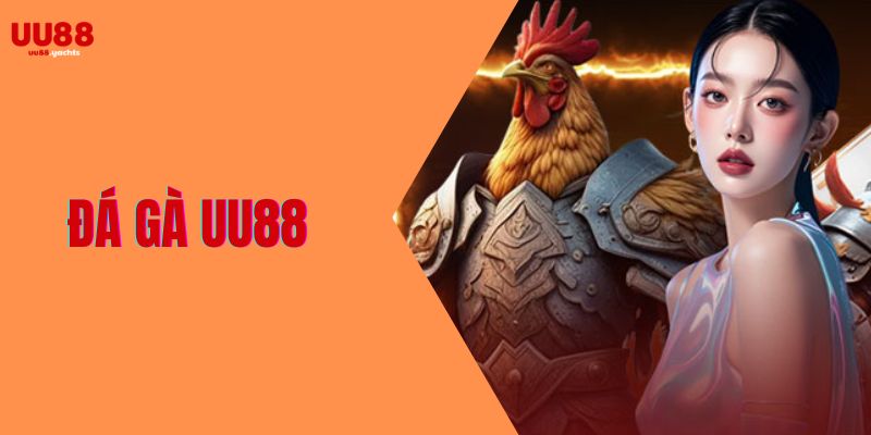 đá gà uu88