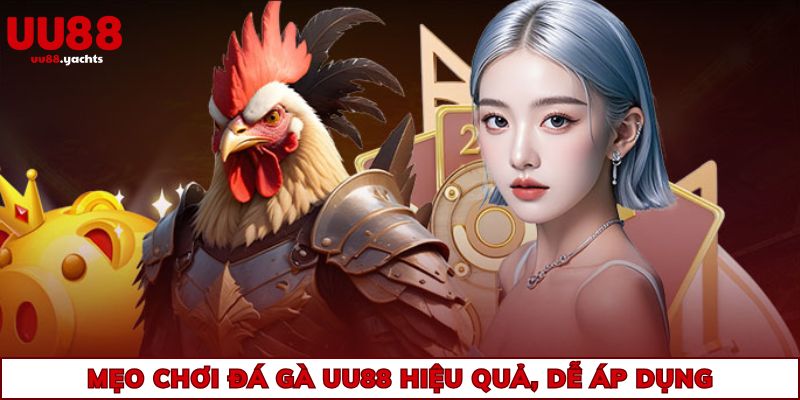 Mẹo chơi đá gà uu88 hiệu quả, dễ áp dụng