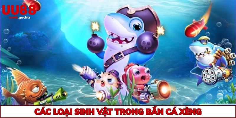 Một số loại sinh vật biển tại bắn cá xèng